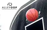 A basketball being thrown at the headboard of a basketball hoop. Buy the 7 inch orange trampoline basketball perfect for dunking! Spend hours of fun playing trampoline games or use with our AlleyOOP or JumpSport ProFlex.